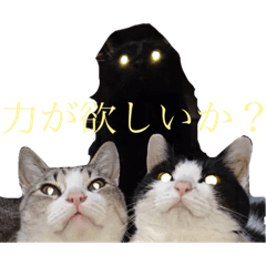 nekosun_20200302231208