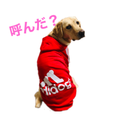 kanae_20200302232353