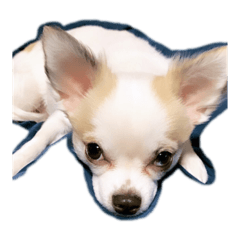 marina_20200302234150