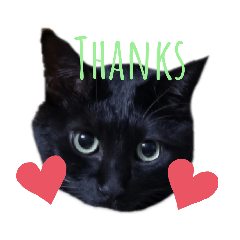 KANAE_20200302233549