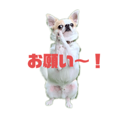 4484yuriko_20200302232324