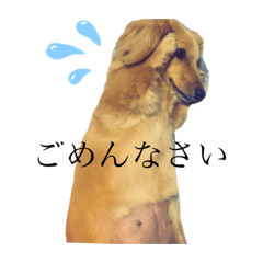minaandkokoa114227