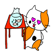 This cat name is Puku chan!!