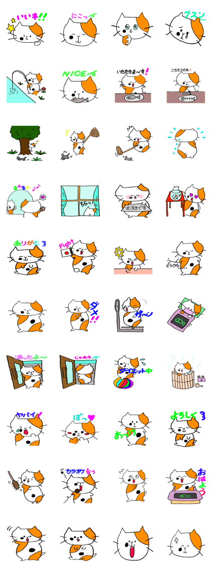 This cat name is Puku chan!!
