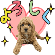 Uchinoko Sticker_202003_0001