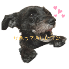 Smile_20200303100612