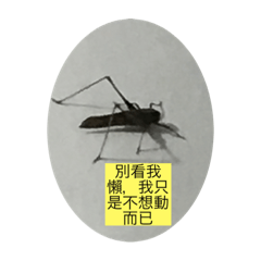 動物兼昆蟲之house