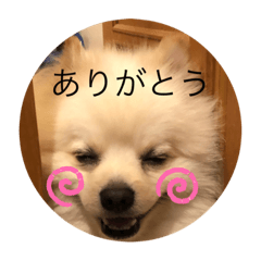 Rei_20200303124805