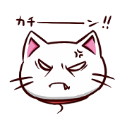 white cat Sugar <5>