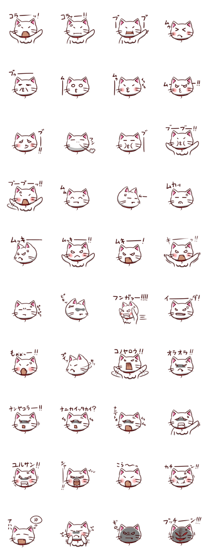 white cat Sugar <5>
