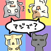 Cats that useful to choose your feelings