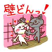 the pad of cat @ women