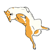 Shiba Inu of cute sticker