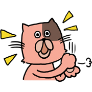 Cat of three brothers