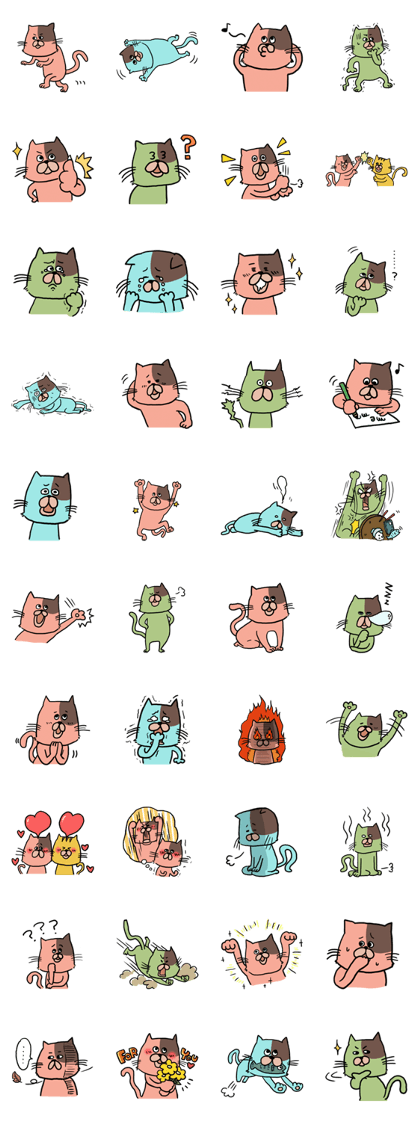 Cat of three brothers