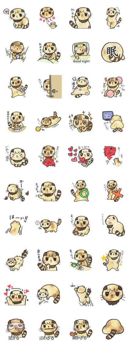 scottish fold cat stickers