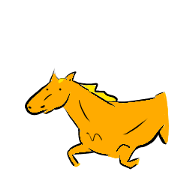 Every day Horse