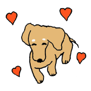 "Sora", the "Duchshund"