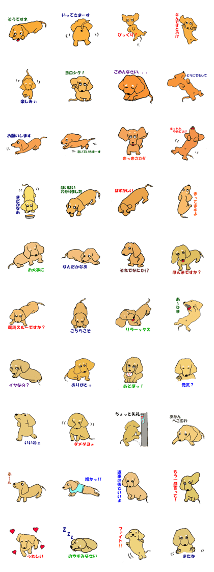"Sora", the "Duchshund"