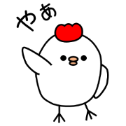 pretty chicken for daily life