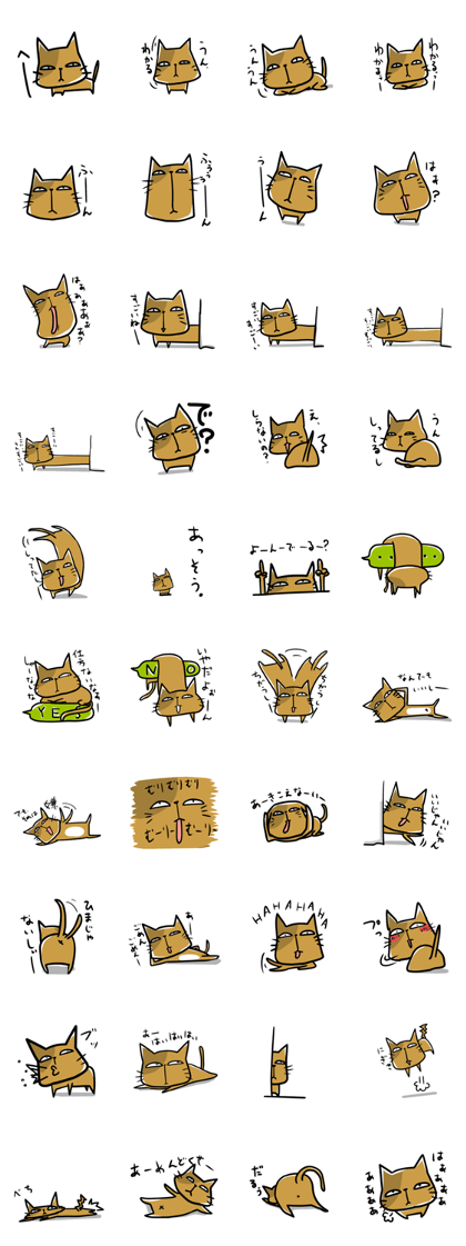 cat which lives properly