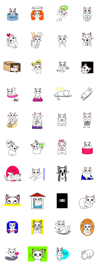 Gigi the cat 3