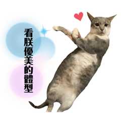 潘惠惠的小公主