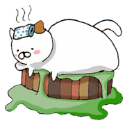 Fat cat is cute
