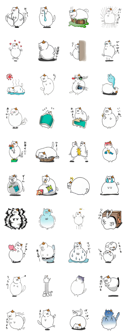 Fat cat is cute