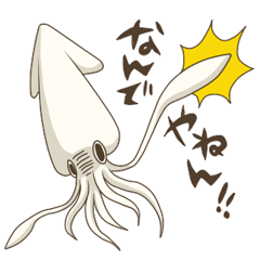 Pleasant squid
