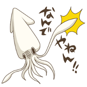 Pleasant squid