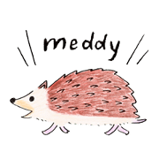 Meddy the hedgie