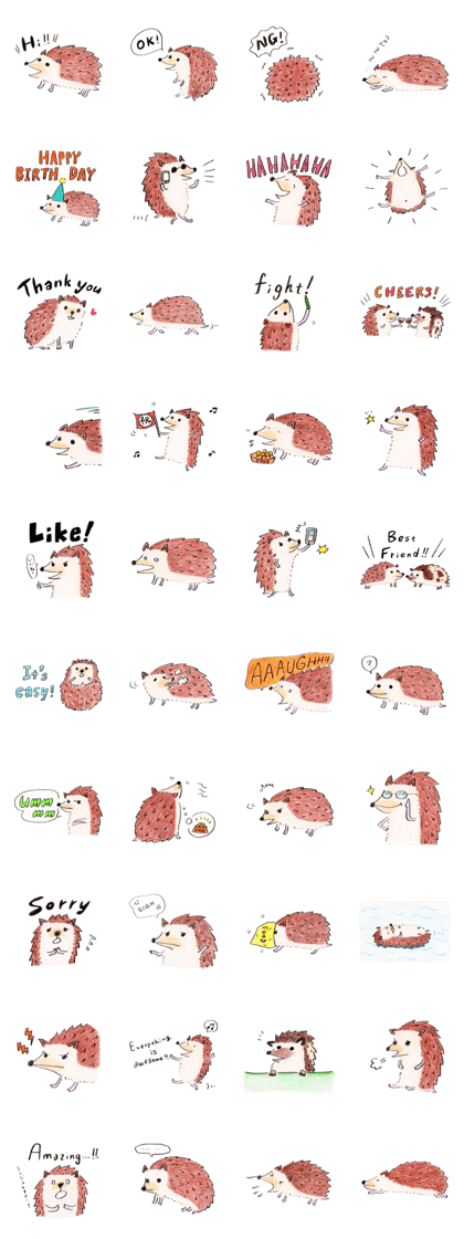 Meddy the hedgie