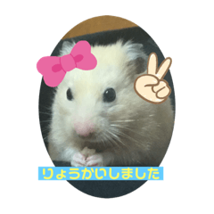 kurumi_20200303123153