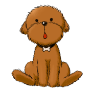 Aru The Toy Poodle.