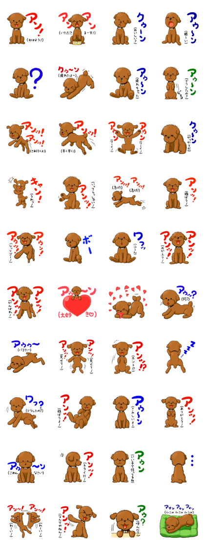 Aru The Toy Poodle.