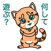 Let's play with the cat Maru Maru