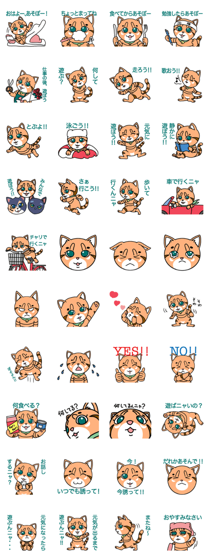 Let's play with the cat Maru Maru