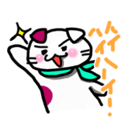 Scottish Fold KINTOKI-KUN