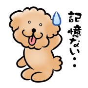 Poodle with 365 days