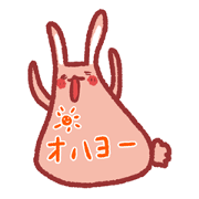 Note pad of abdomen rabbit