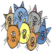 ADDICTIVE FACE (CAT VERSION)