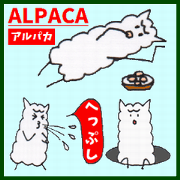 Playful Pretty ALPACA