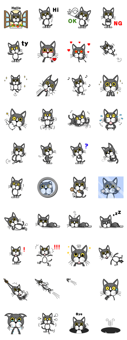 Fine cat