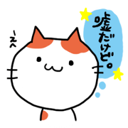 funny crazy cats