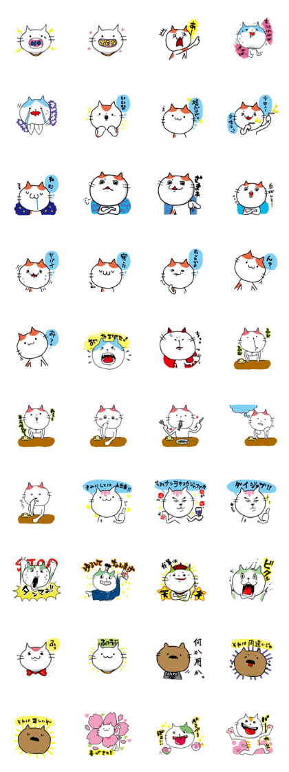 funny crazy cats