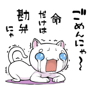 An exaggerated cat