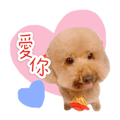 多歪妮♡