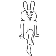 Rabbit cat daily life