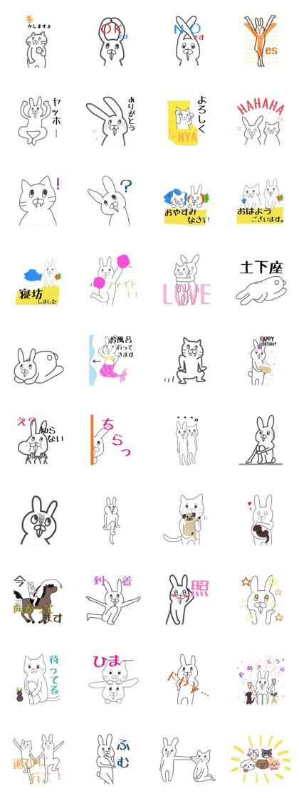 Rabbit cat daily life